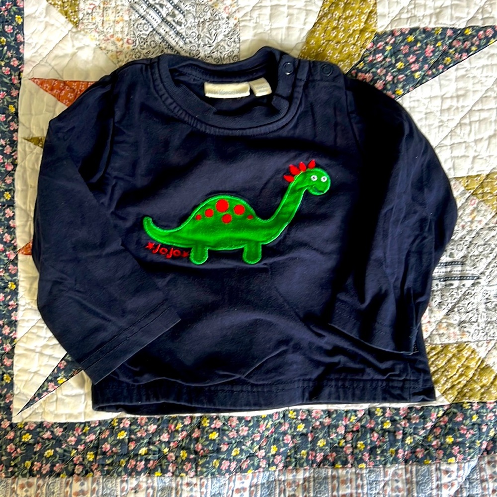 Baby Dinosaur Shirt | Sz 6-12 mo